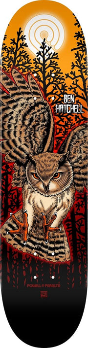 Powell Peralta - Hatchell Owl 2 Deck
